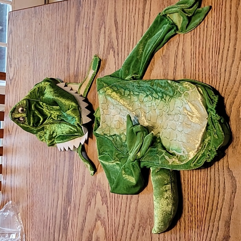 Dinosaur Costume Toy Story 4 Rex